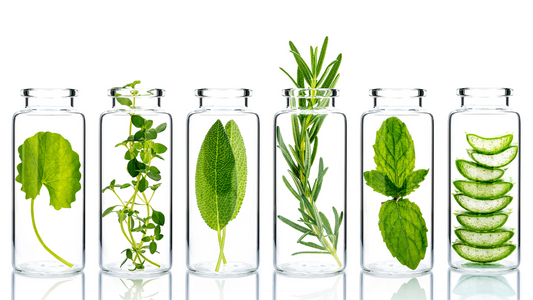 5 Popular Natural Ingredients of 2024 for Your Skincare Routine